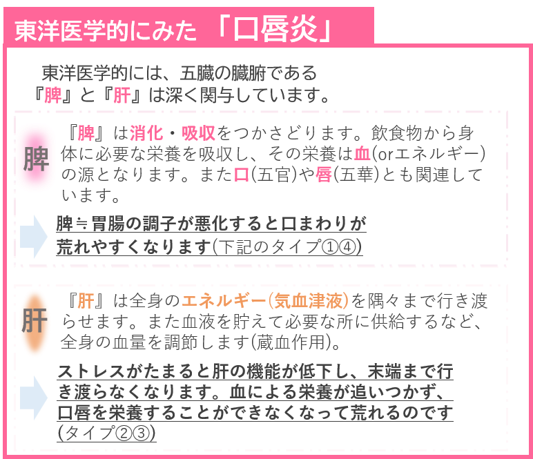 東洋医学的にみた　「口唇炎」　　 東洋医学的には、五臓の臓腑である 『脾』と『肝』は深く関与しています。 『脾』は消化・吸収をつかさどります。飲食物から身体に必要な栄養を吸収し、その栄養は血(orエネルギー)の源となります。また口(五官)や唇(五華)とも関連しています。 脾≒胃腸の調子が悪化すると口まわりが 荒れやすくなります 『肝』は全身のエネルギー(気血津液)を隅々まで行き渡らせます。また血液を貯えて必要な所に供給するなど、全身の血量を調節します(蔵血作用)。 ストレスがたまると肝の機能が低下し、末端まで行き渡らなくなります。血による栄養が追いつかず、口唇を栄養することができなくなって荒れるのです