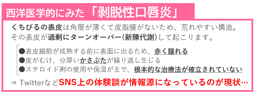 西洋医学的にみた　「剥脱性口唇炎」　　 くちびるの表皮は角層が薄くて皮脂膜がないため、荒れやすい構造。 その表皮が過剰にターンオーバー(新陳代謝)して起こります 表皮細胞が成熟する前に表面に出るため、赤く腫れる ●皮がむけ、分厚いかさぶたが繰り返し生じる ●ステロイド剤の使用や保湿が主で、根本的な治療法が確立されていない TwitterなどSNS上の体験談が情報源になっているのが現状