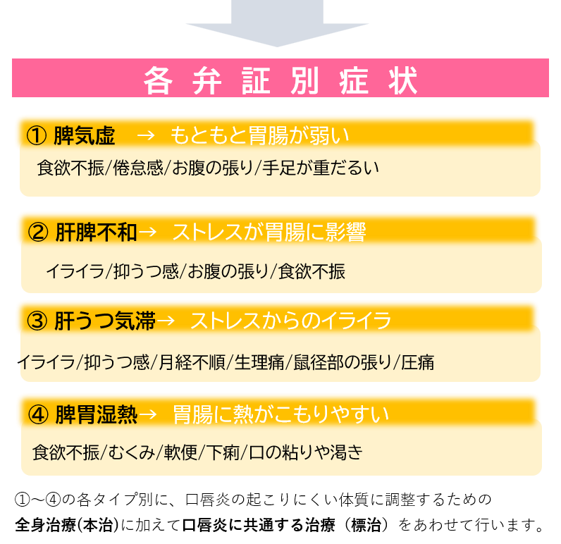 ① 脾気虚 →　もともと胃腸が弱い　　　　　　　　　　　　　　　　　　　　　　　　　　　　　　　　　 　食欲不振/倦怠感/お腹の張り/手足が重だるい　　 ② 肝脾不和→　ストレスが胃腸に影響 イライラ/抑うつ感/お腹の張り/食欲不振 ③ 肝うつ気滞→　ストレスからのイライラ イライラ/抑うつ感/月経不順/生理痛/鼠径部の張り/圧痛 ④ 脾胃湿熱→　胃腸に熱がこもりやすい 　食欲不振/むくみ/軟便/下痢/口の粘りや渇き　 ①～④の各タイプ別に、口唇炎の起こりにくい体質に調整するための 全身治療(本治)に加えて口唇炎に共通する治療（標治）をあわせて行います。