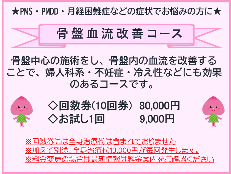 ★PMS・PMDD・月経困難症などの症状でお悩みの方に★
骨盤血流改善コース
骨盤中心の施術をし、骨盤内の血流を改善することで、
婦人科系・不妊症・冷え性などにも効果のあるコースです。
回数券(10回券)　80,000円
お試し1回　9,000円
※回数券には全身治療代は含まれておりません※
加えて別途、全身治療代13,000円が毎回発生します。
